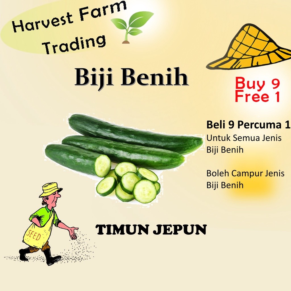 Biji Benih Timun Jepun 30 Biji Vegetable Seed CucumberJepun