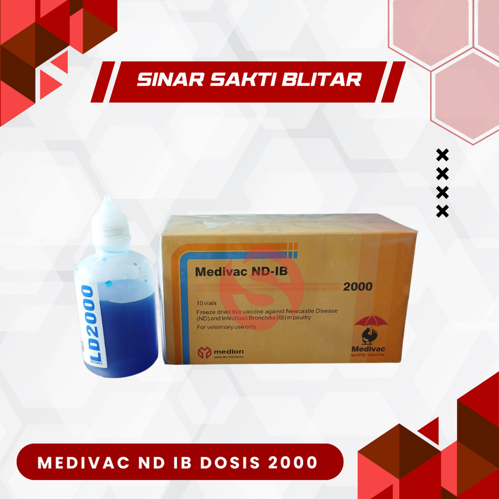 VAKSIN ND IB DOSIS 2000 EKOR + PELARUT MEDIVAC MEDION - Telo Tetelo Ayam Burung Bebek Unggas Newcast