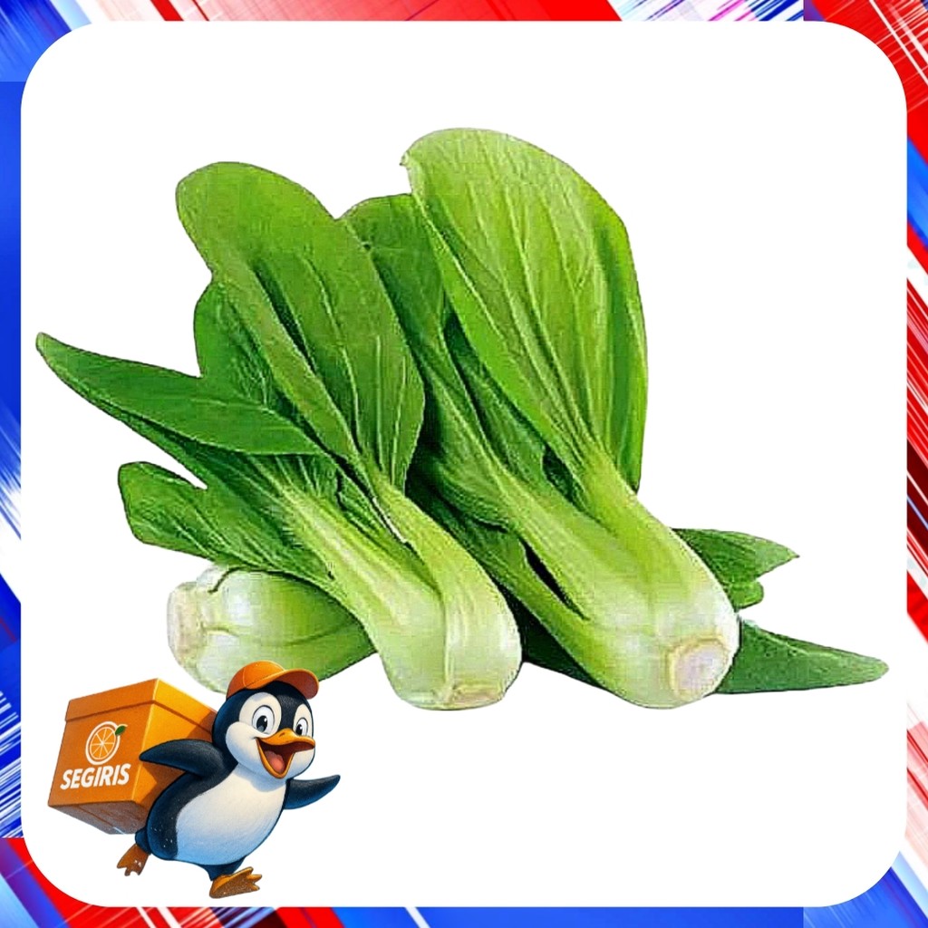 Sawi pakcoy sawi daging segar