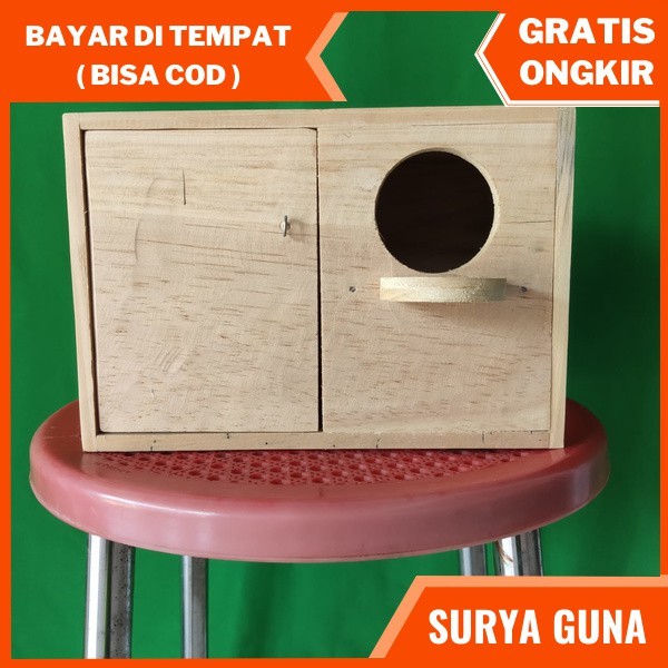 NSG glodok love bird unik glodok lovebird kecil glodok rumah lovebird
