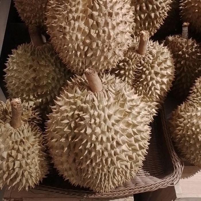 Durian montong palu utuh premium 1 pcs