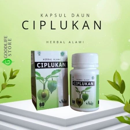 Kapsul Daun Ciplukan Inayah Herbal Alami isi 60 / Ciplukan Herbal |18