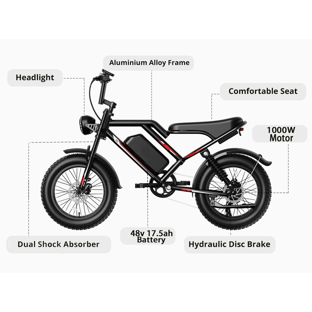 STLF 2000W Dual Motor E Bicycle Electric Bike 20*4 Inch Off Road Fat Tire Electric Fat Tire Bike