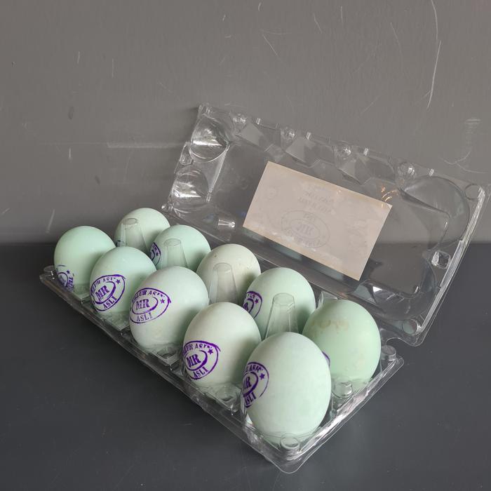 Promo PAKET TELUR ASIN B ISI 10 - PACKING MIKA PLASTIK - KHUSUS GOJEKTerlaris