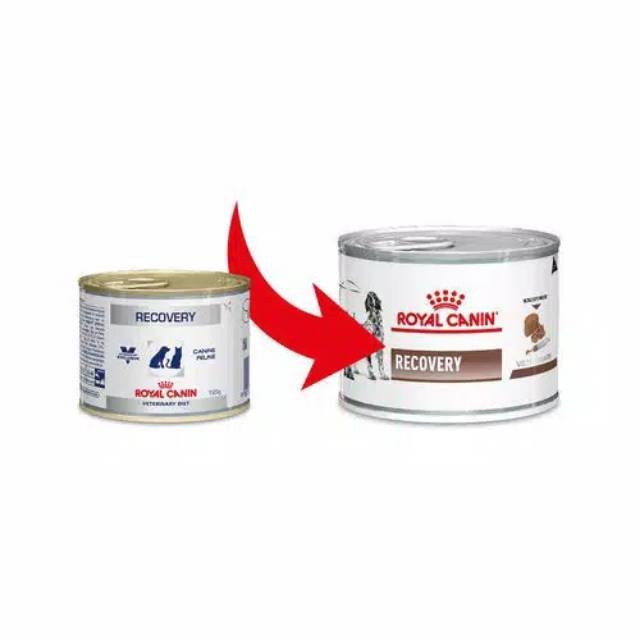 Royal Canin Recovery Kaleng Wet Food Anjing Kucing