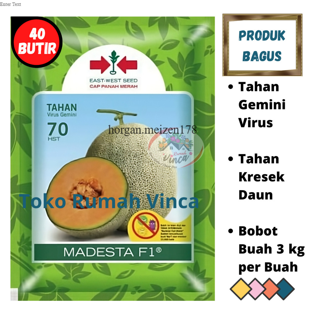 Benih Bibit Biji Melon Madu MADESTA 40 Butir dari Cap Panah Merah Melon Orange Rock Melon horgan.mei