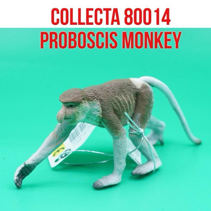 Collecta 80014 Proboscis Monkey Monyet Bekantan  Nasalis Larvatus | Mainan Figure Binatang Miniature