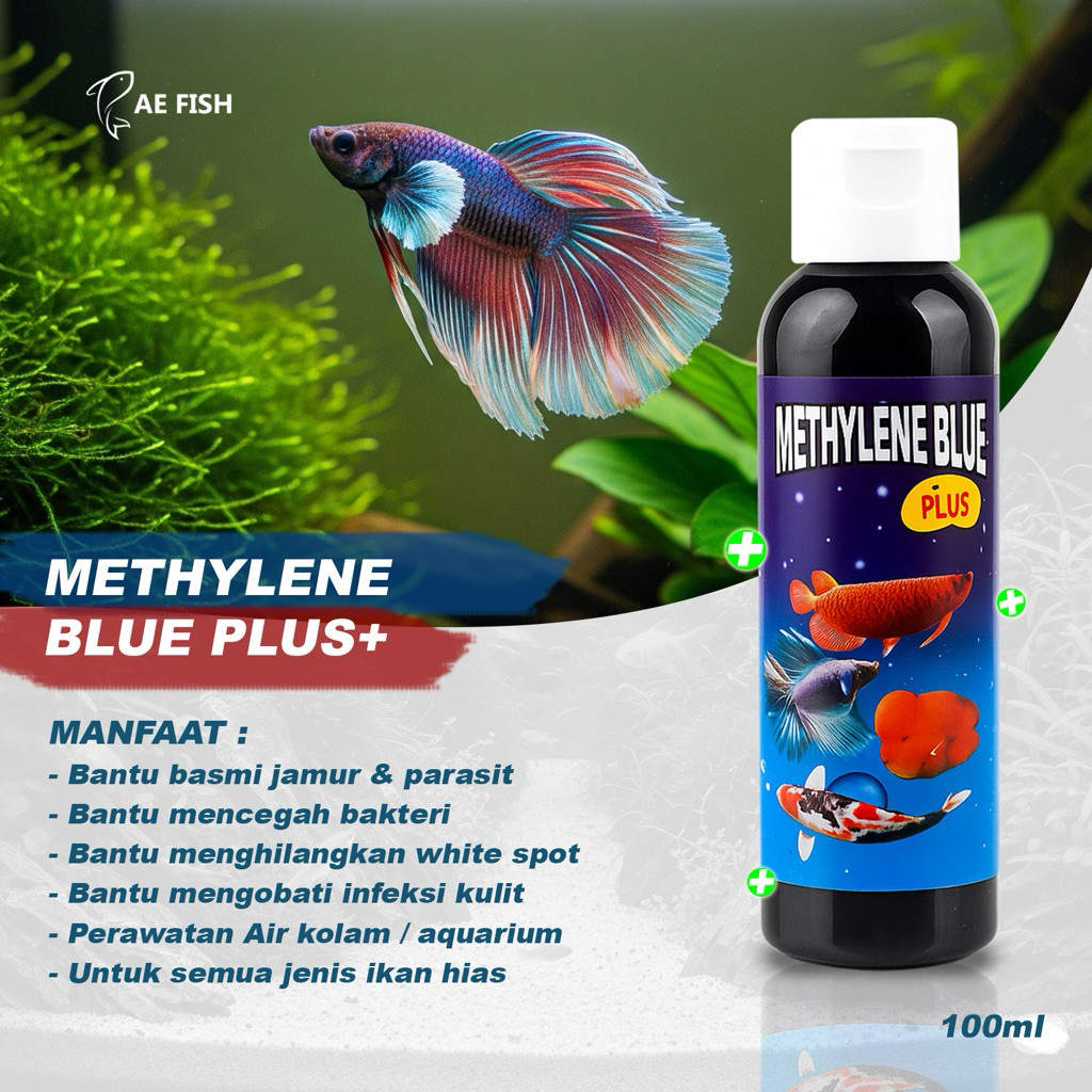 Methylene blue plus obat biru ikan hias cupang Guppy louhan koi koki arwana
