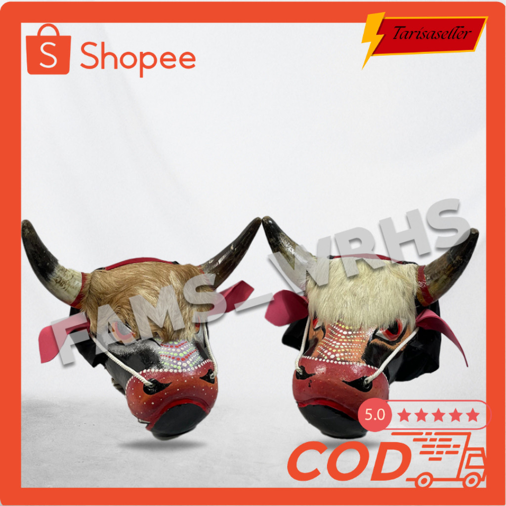 Best Seller  Bantengan Pentas Sungu Asli Dewasa Berkualitas Kokoh Termurah