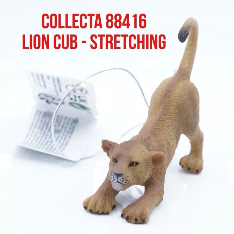 Collecta 88416 Africa Lion Cub Stretching Anak Singa Afrika Panthera Leo Raja Hutan | Mainan Figure 