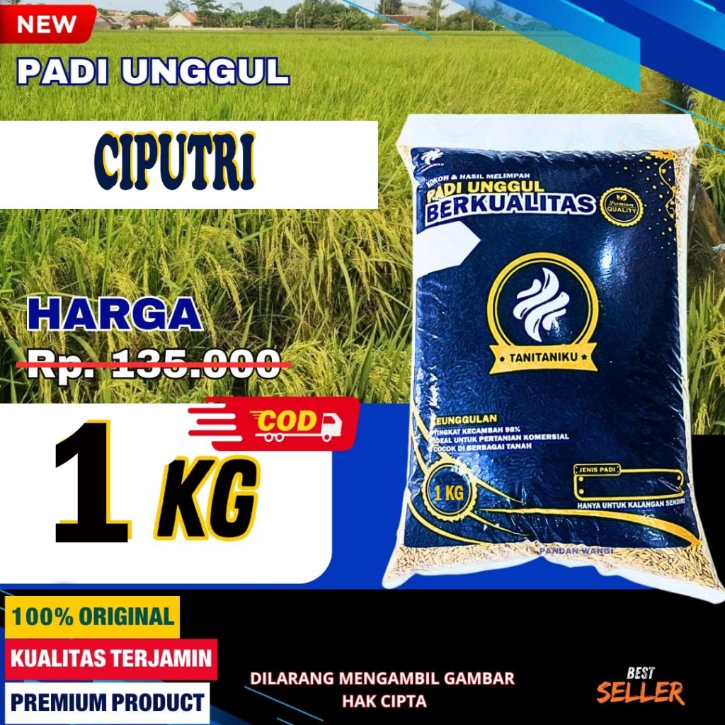 PadiNusa - Bibit Padi Unggul Ciputri 1Kg