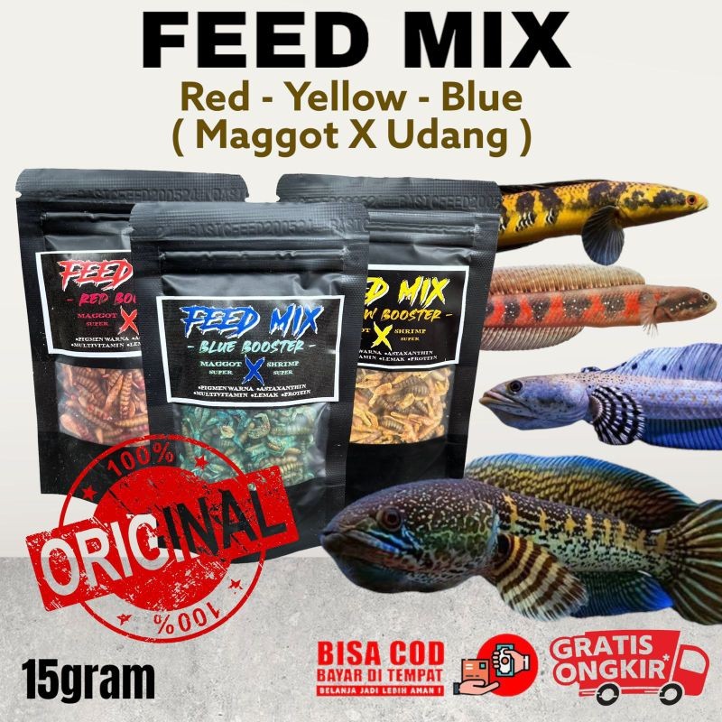 udang X maggot kering feed mix 15 grm Red BLUE YELLOW | makan ikan predator | pakan ikan channa maru