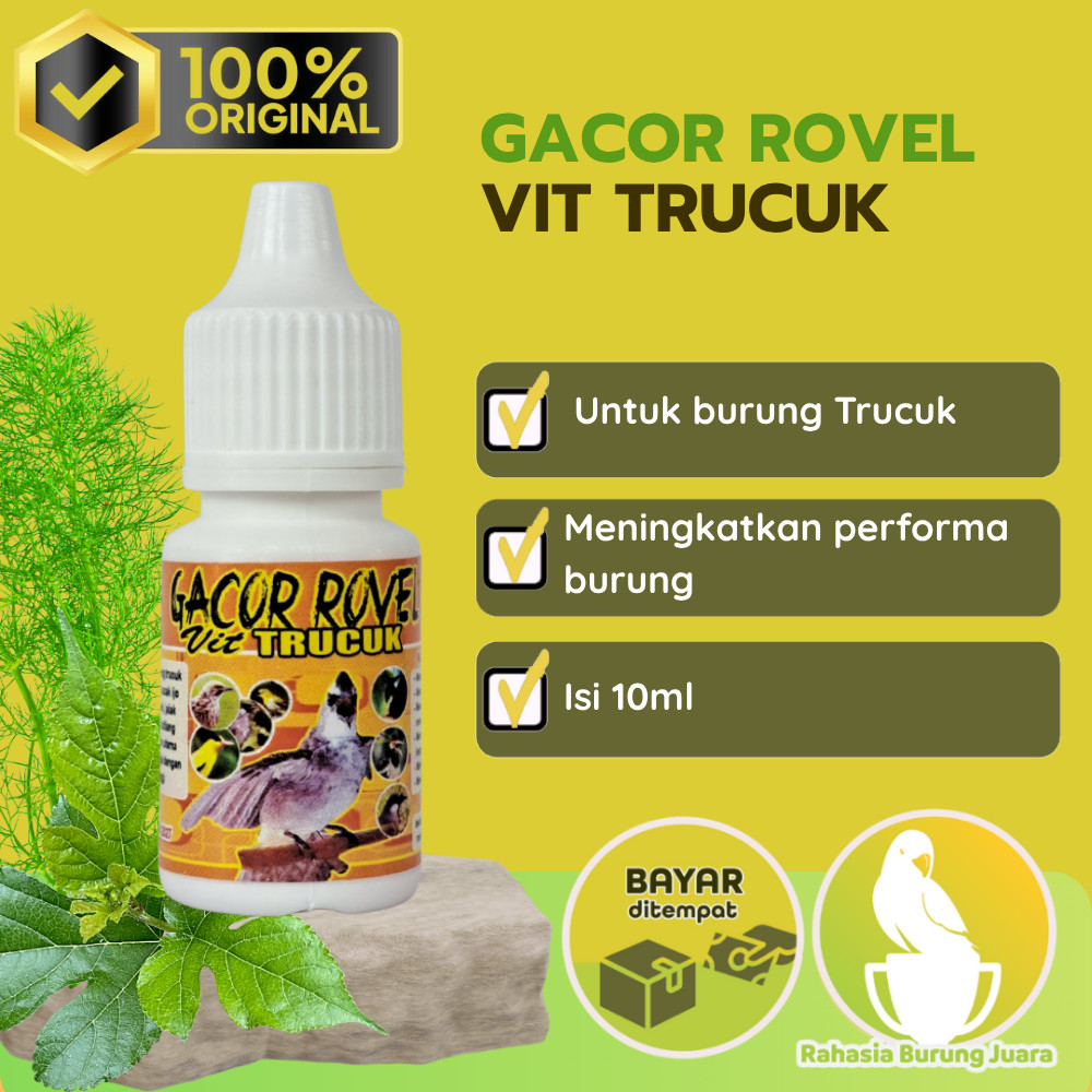Vitamin Gacor Rovel Burung Trucuk Vitamin Penggacor Burung