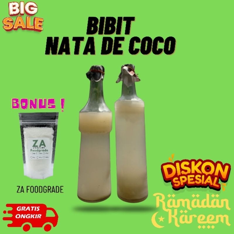 Termurah Bibit Nata de Coco - Starter Acetobacter Xylinium , Bisa untuk Starter Nata de Pina, Nata d