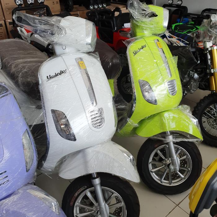 Motor Listrik Vespa T3S T3 Pro T3S Pro Uwinfly Goda GR 220 - T3biruTelorAsin