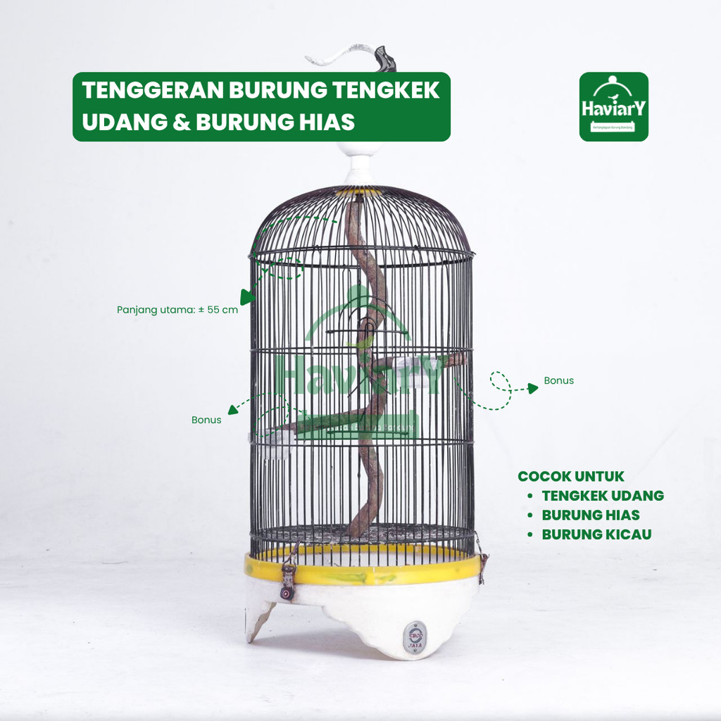 Tenggeran Burung Akar Menjalar Alami – Cocok untuk Tengkek Udang & Burung Hias | Haviary Perlengkapa