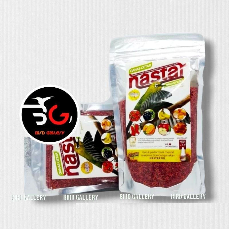 VOER NASTAR PLECI VOER BURUNG PLECI SOGON