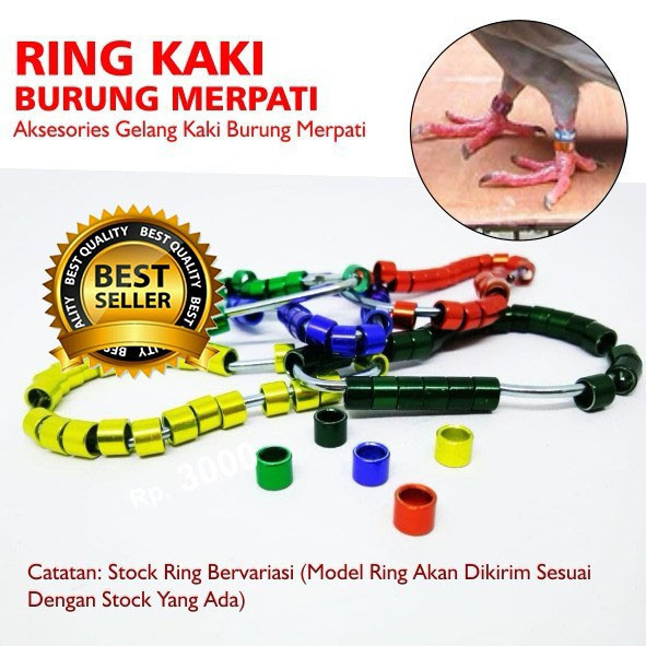 RING BURUNG MERPATI DERKUKU PUTER  GELANG PENANDA KAKI BURUNG BULAT AMAN KAKI TIDAK SAKIT