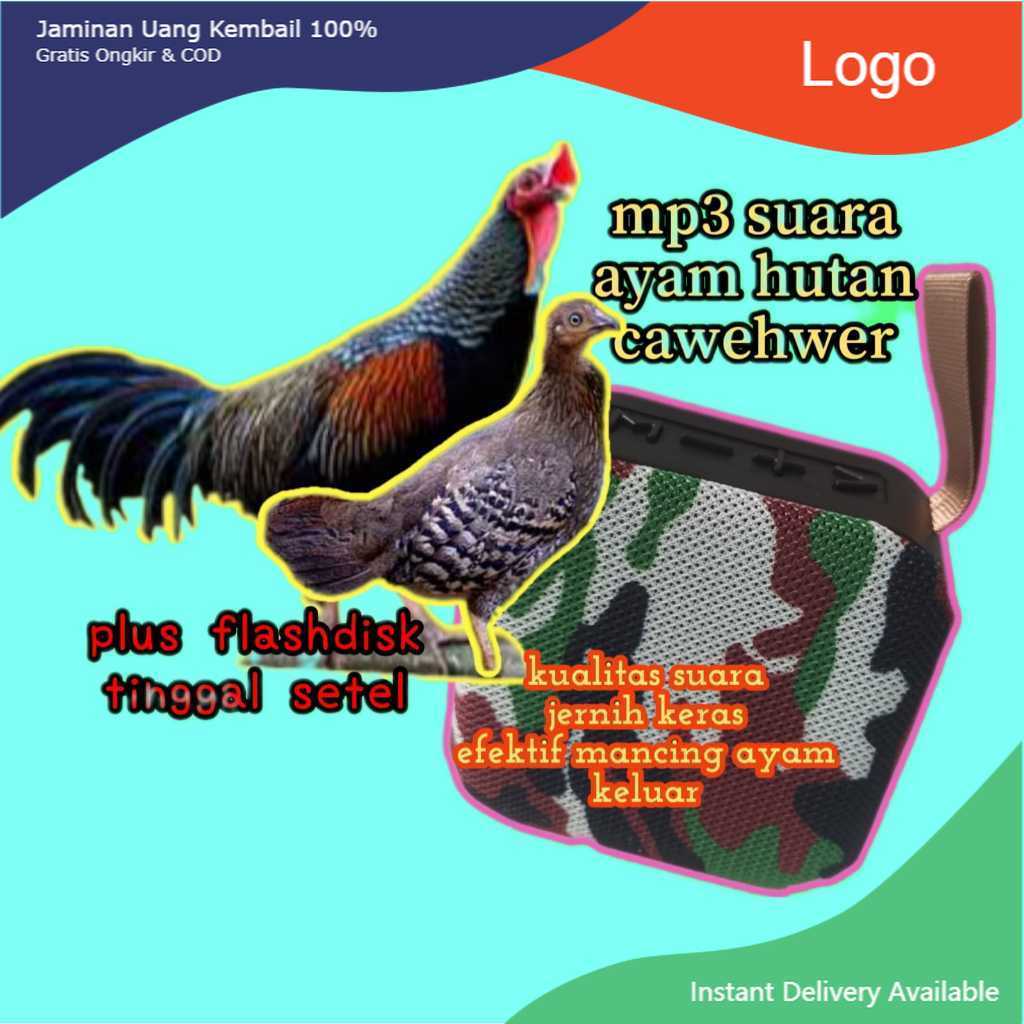 MP3 SUARA BURUNG TEKUKUR TIKUSAN MATA MERAH RUAK RUAK AYAM HUTAN TIKUSAN ALIS PUTIH SPEAKER PORTABLE
