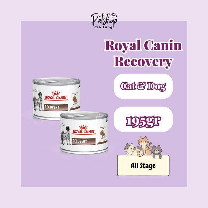 MAKANAN KUCING/ANJING RECOVERY ROYAL CANIN