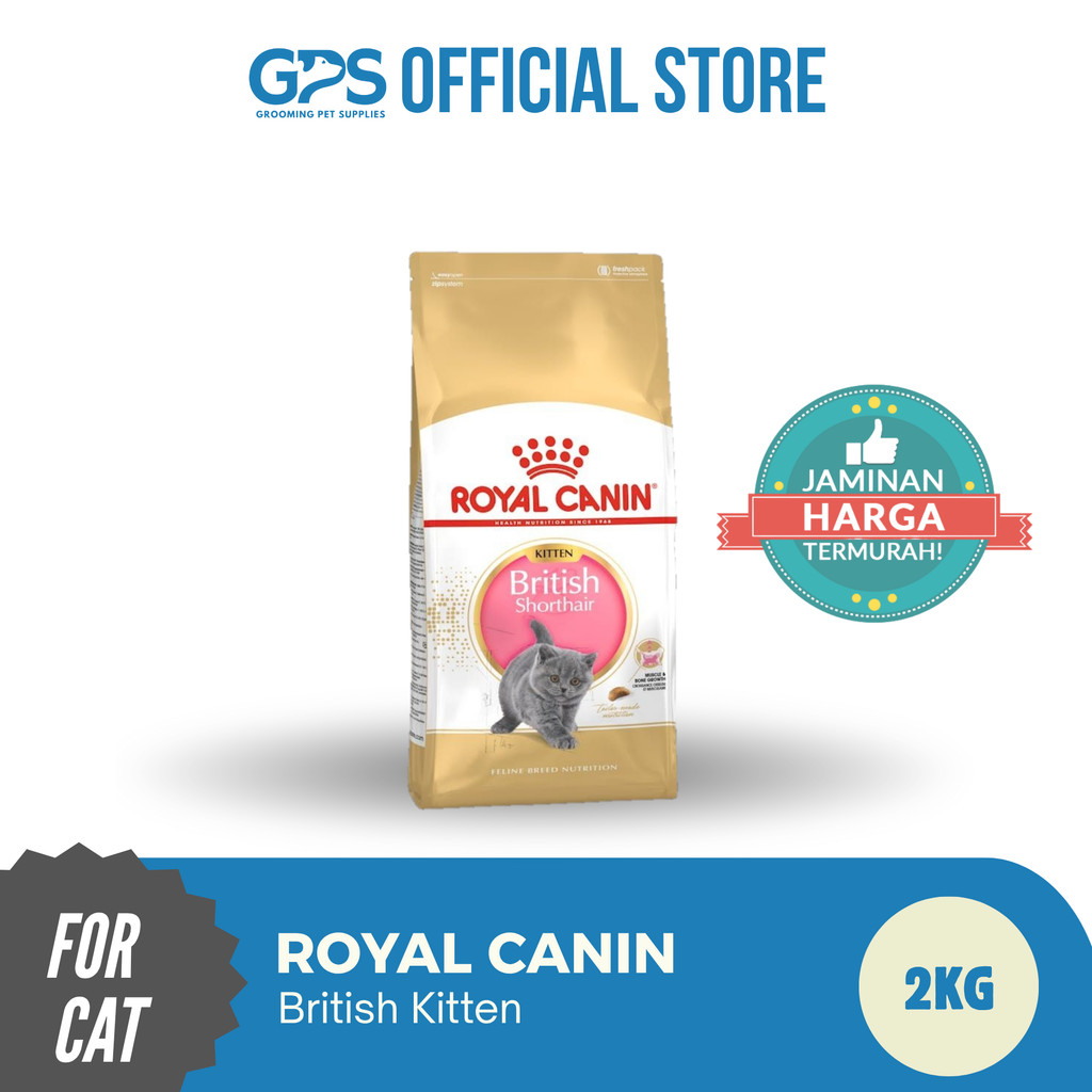 ROYAL CANIN BRITISH SHORTHAIR KITTEN 2KG - ANAK KUCING