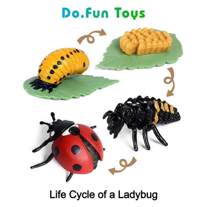 "TNKSYU" - Animal Figure Life Cycle of a Lady Bug / Siklus Hidup Binatang Kepik Mainan