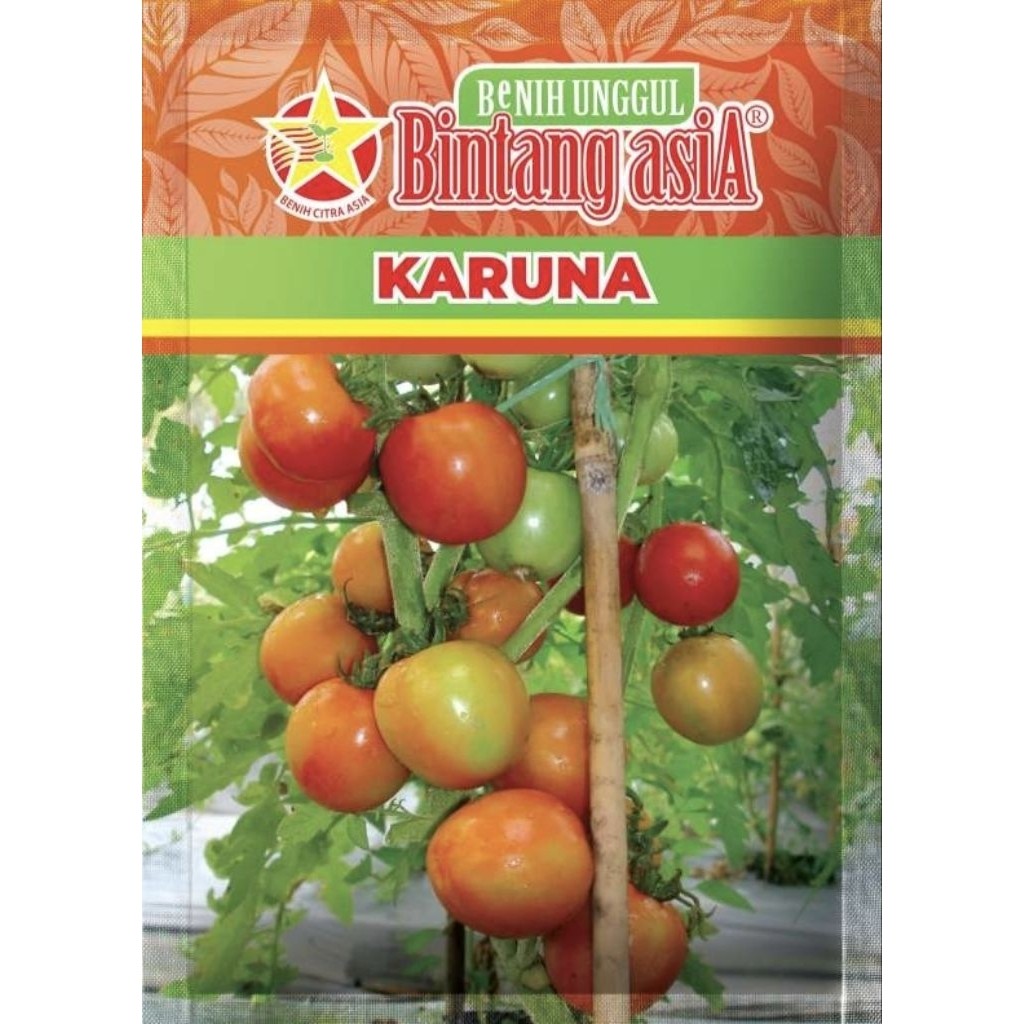 Benih tomat KARUNA 10 gram Bintang asia Tomat determinate dari bintang asia tomat buah bulat