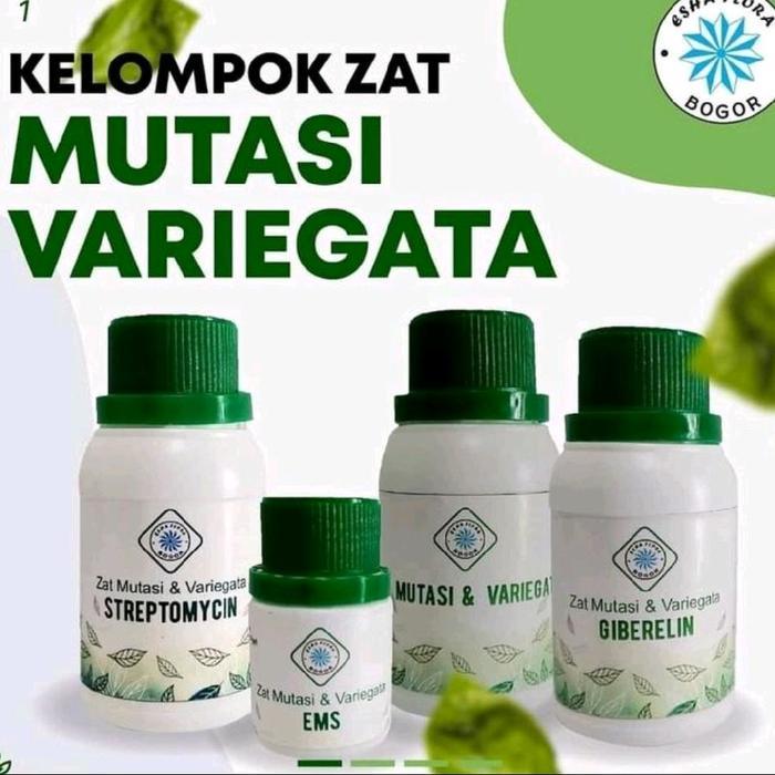 LEAFMOOD Zat Mutasi Variegata Esha Flora - Formula Gabungan