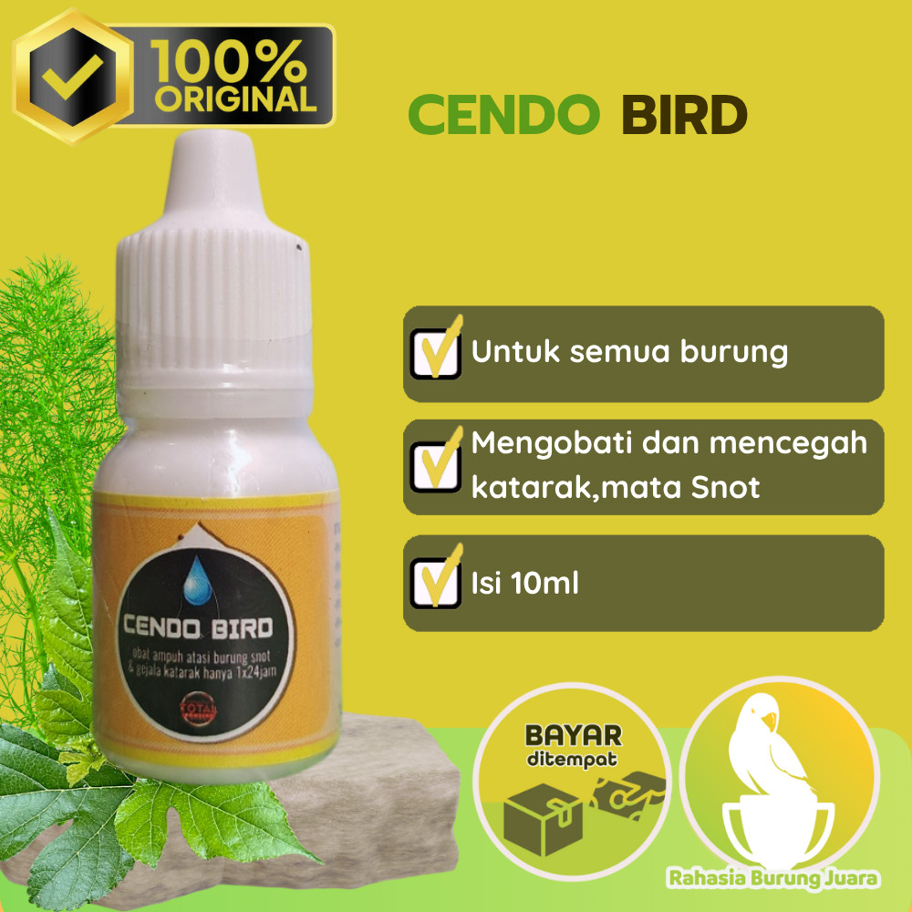 Cendo Bird Obat Burung Sakit Mata Katarak Berlendir Berair