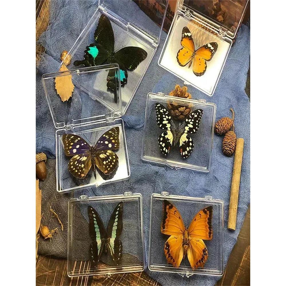 27pcs True Butterfly Specimens Decoration Dragonfly ect Specimen Student Creative Birthday Gift Tran