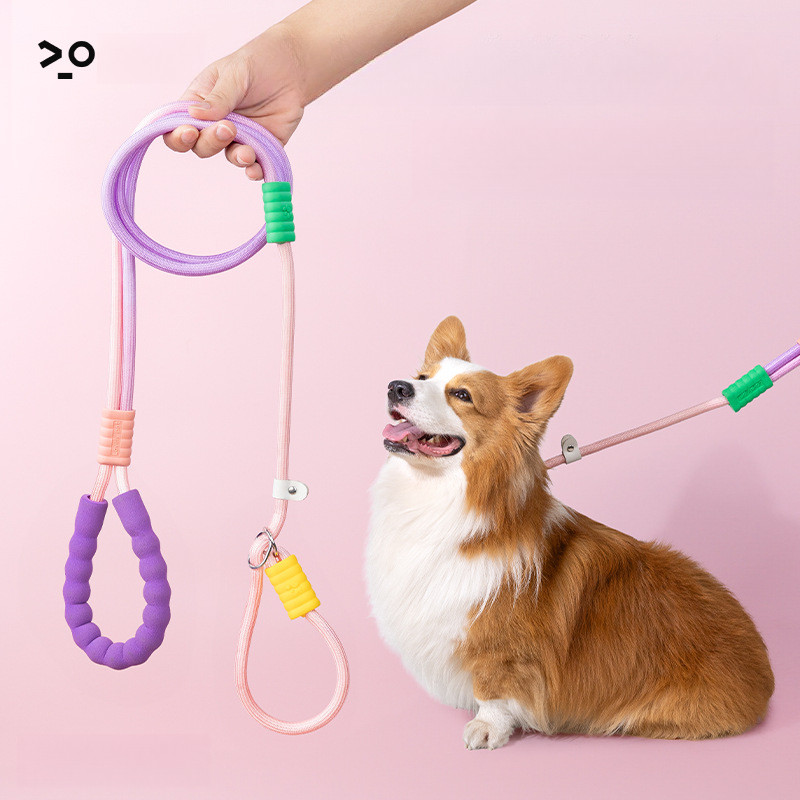 [Pet Wardrobe]Rantai anti putus untuk anjing kecil, tali kekang untuk anjing besar, kalung