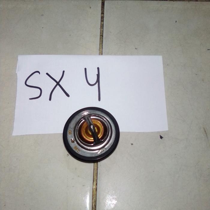 Thermostat SX4 best