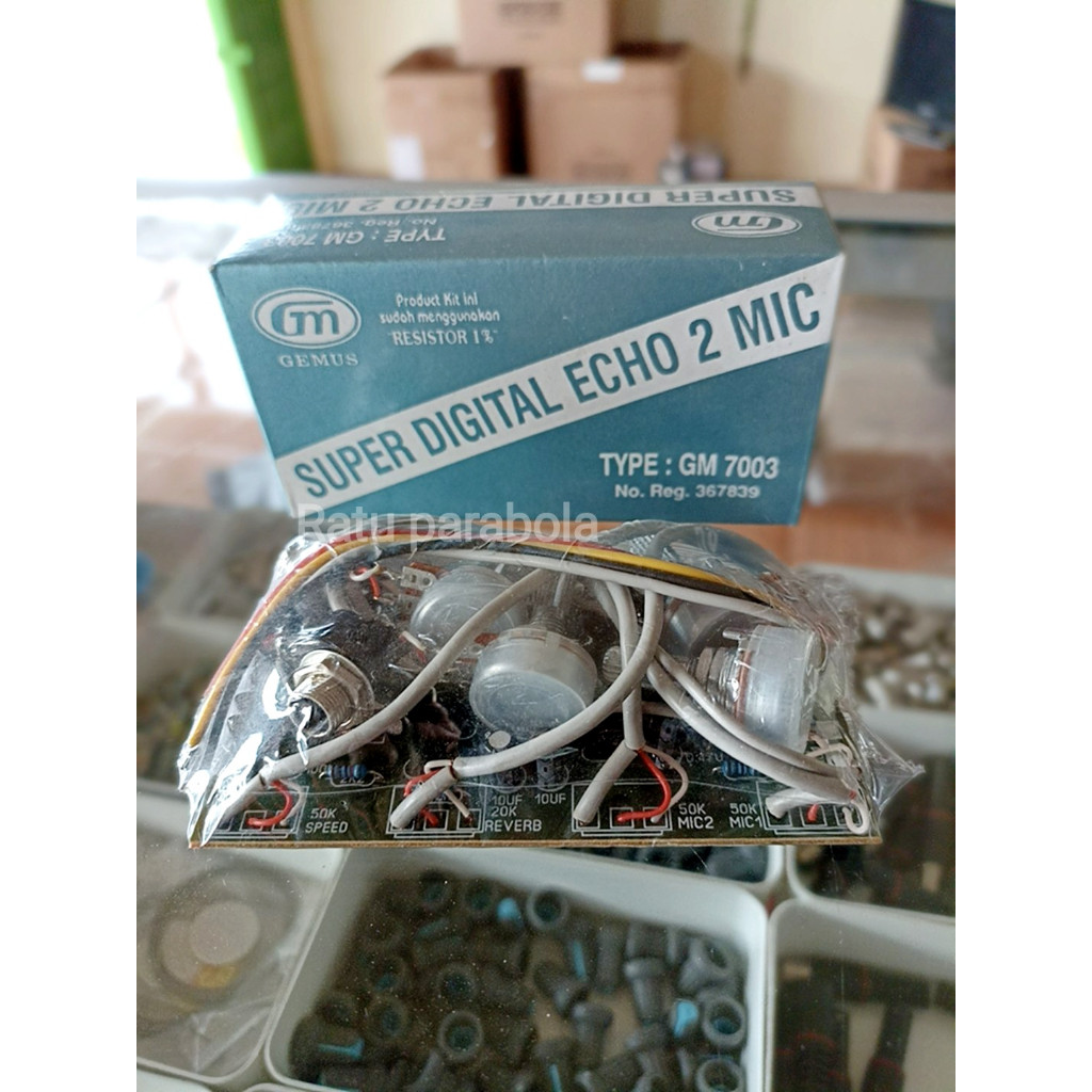 Kit Super Digital Echo 2 Mic GM 7003