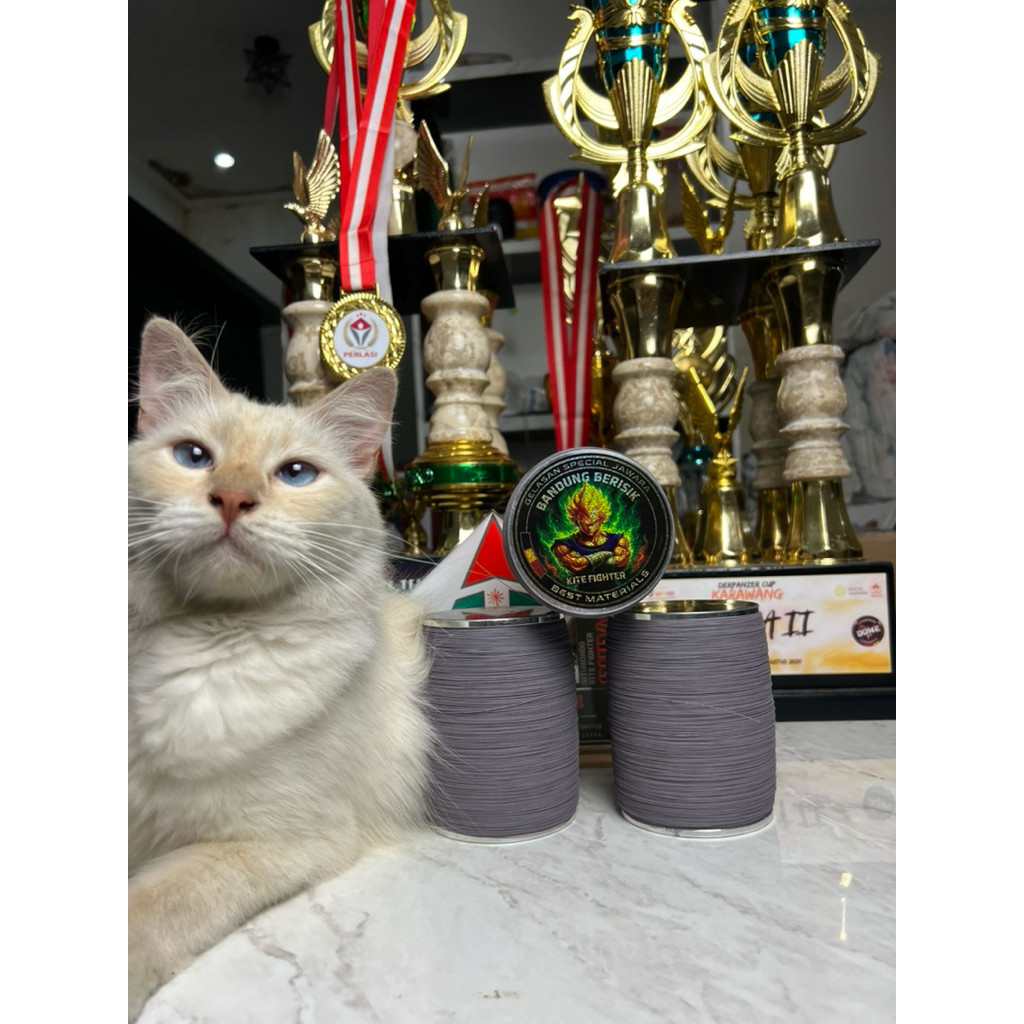 Gelasan Spesial Tournament Bandung Berisik 6000 Yard