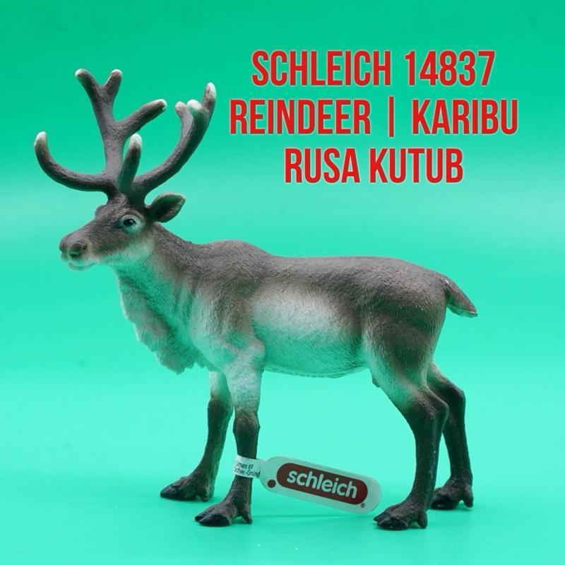 Schleich 14837 Reindeer Caribou Rusa Kutub Karibu Rangifer Tarandus Arktik | Mainan Figure Binatang 