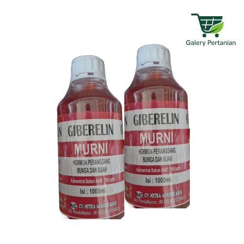 Giberelin Murni 1 Liter untuk Pembentukan Bunga dan Buah Tanaman. Giberelin
