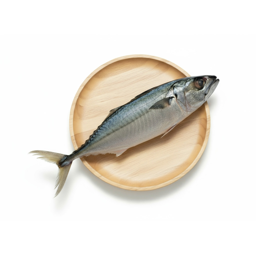 Ikan Baby Tuna Beku Utuh 1kg