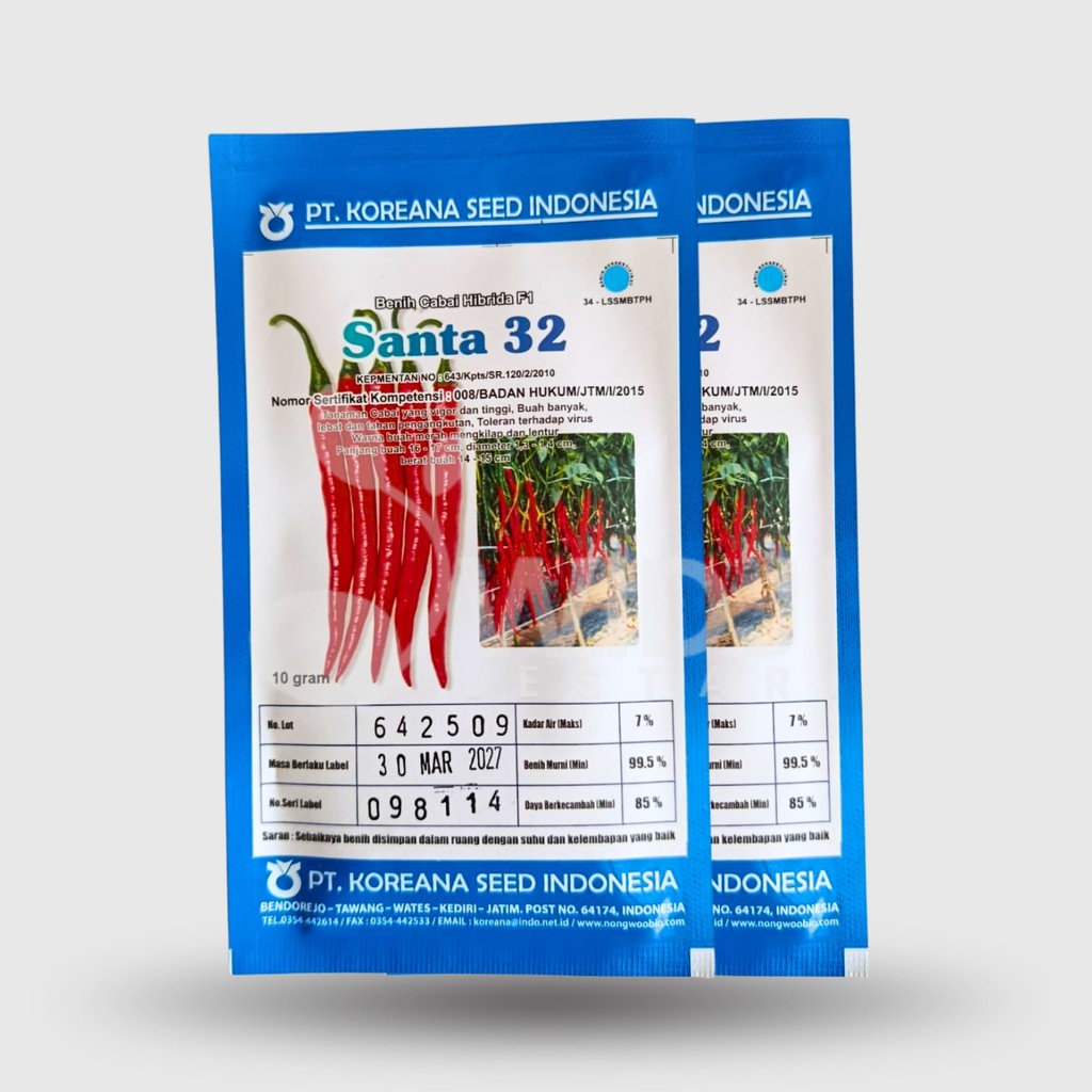 Santa 32 F1 Benih Cabe Hibrida 10gr Asli Koreana Seed