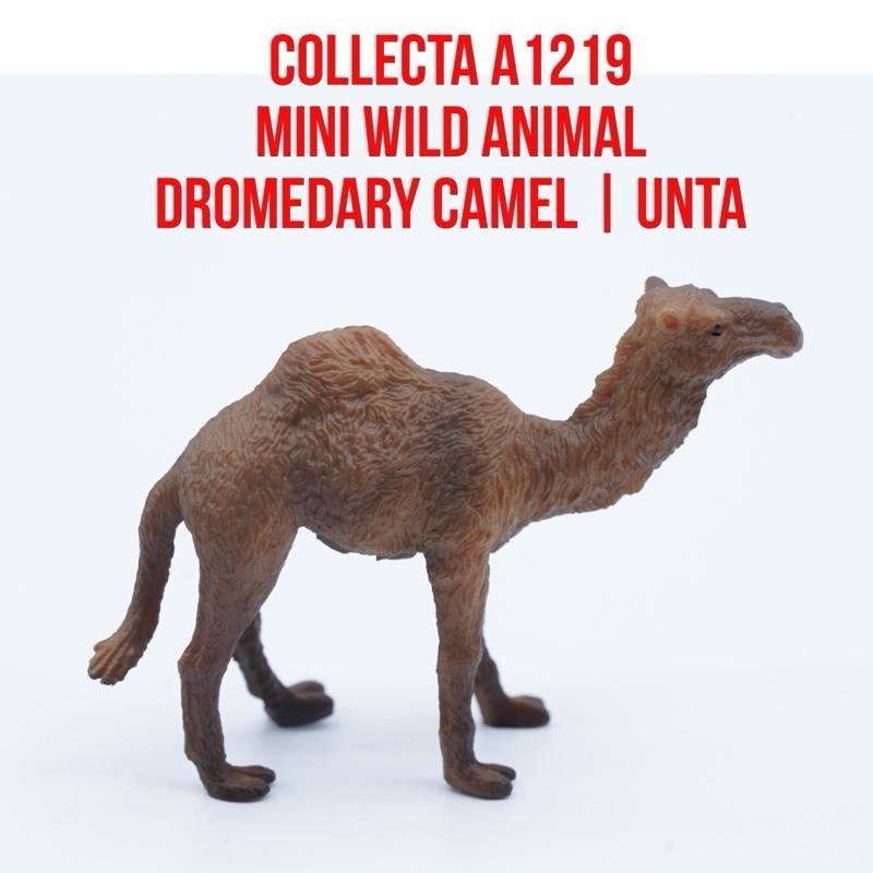 Collecta A1219 Mini Wild Animals | Dromedary Camel Unta Punuk Satu Camelus  Dromedarius  | Small Siz