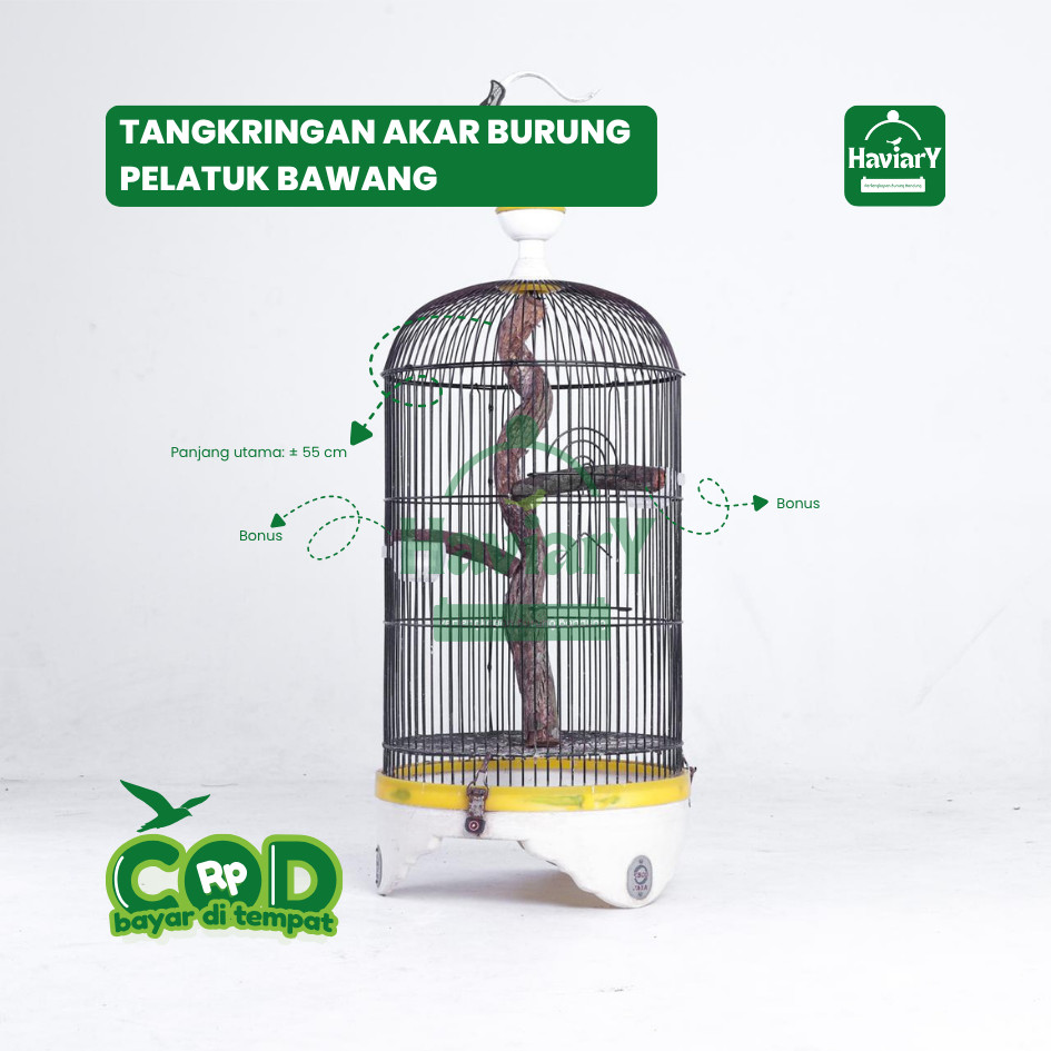 Tangkringan Akar Menjalar Alami Burung Pelatuk Bawang – Estetik & Kokoh | Haviary Perlengkapan Burun