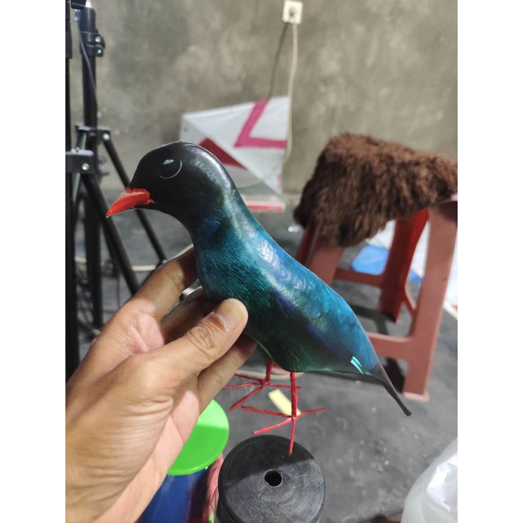 jontrot patung burung tengkek buto / dekoy boneka manuk gesek murai alat pikat
Bahan spon tebal sang