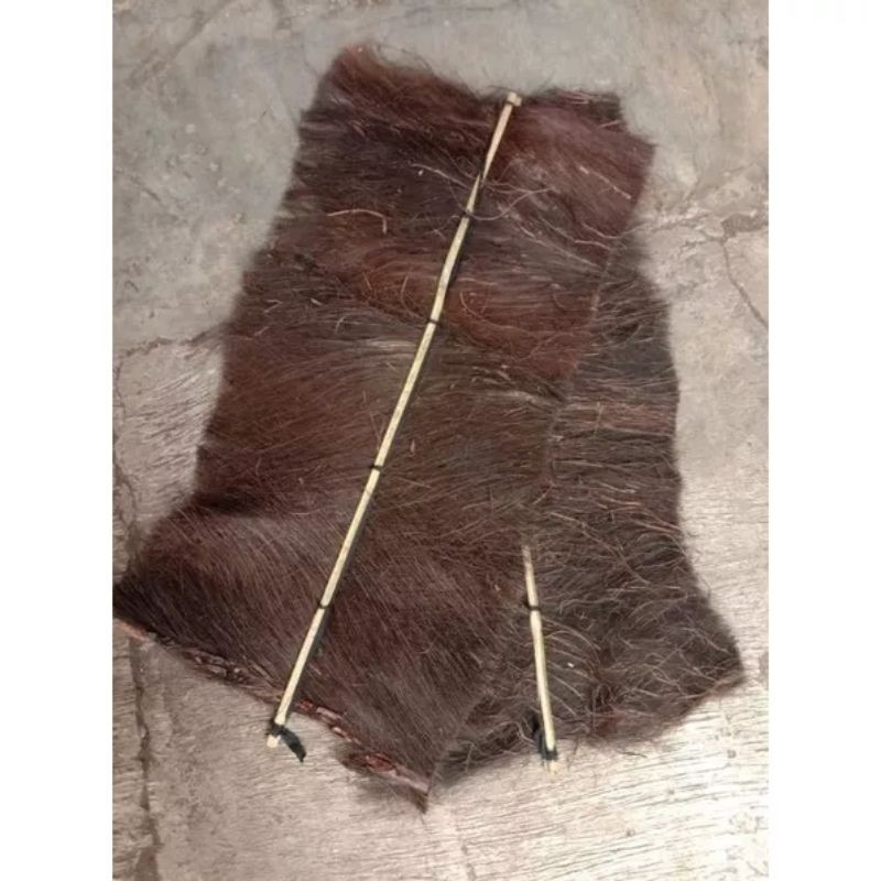 Ijuk kakaban media bertelur ikan