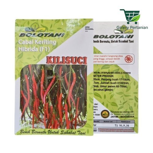 Cabe Keriting Kilisuci 10gr – Produktif & Toleran Virus Gemini