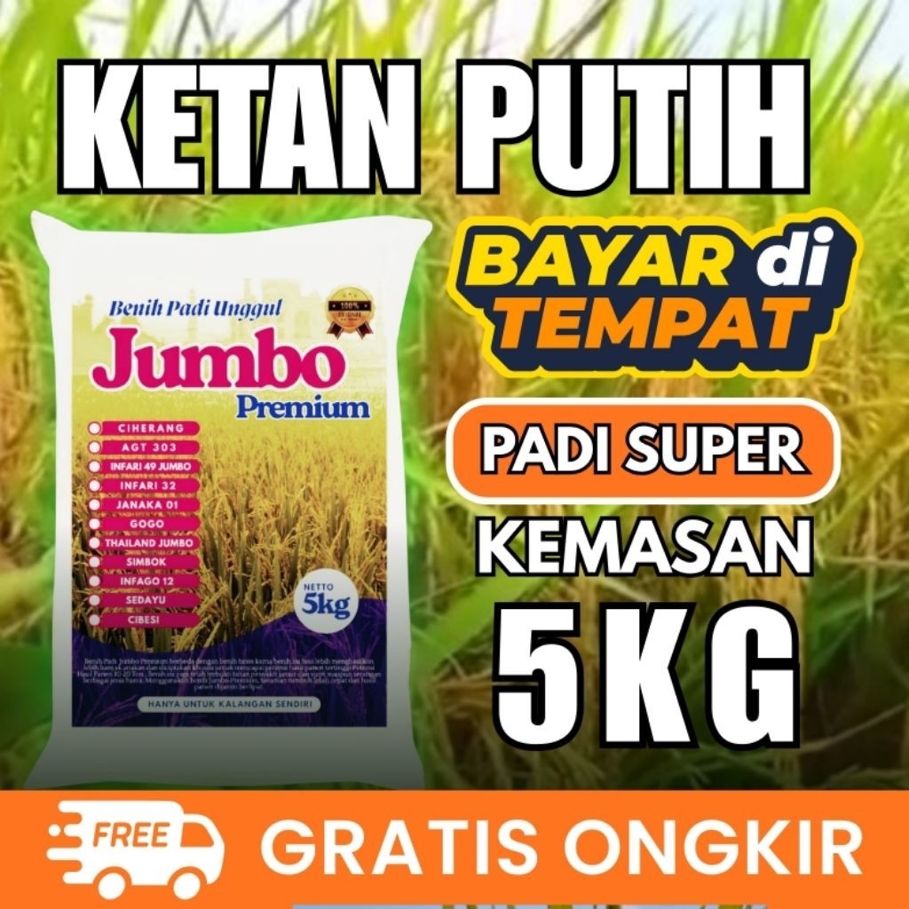 Bibit Padi Unggul Ketan Putih 5kg
