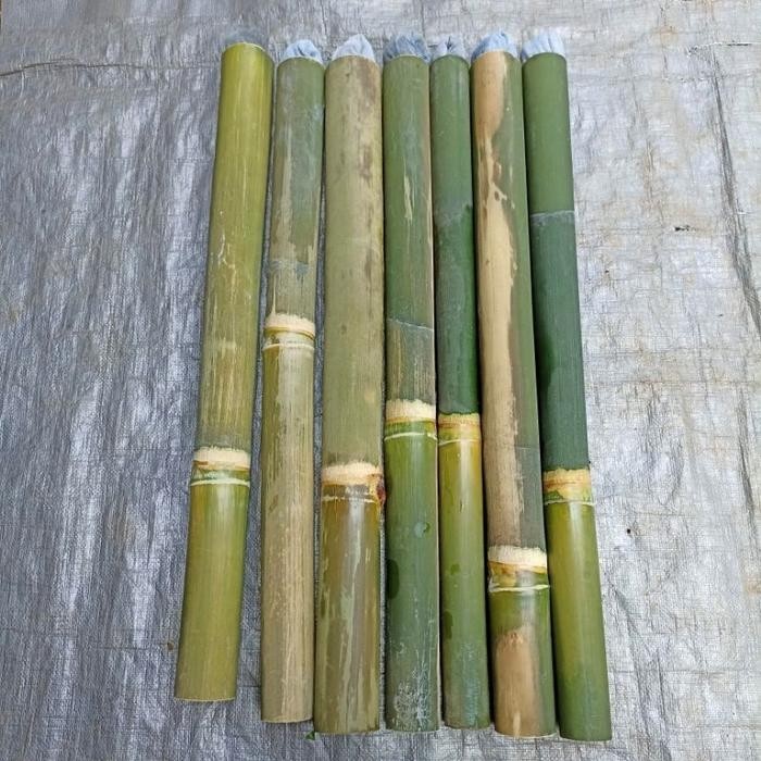Baru Bambu Obor,Coleng ,Obor Bambu,Bambu Penerangan,Obor Pohon Bambu 50Cm - 50Cm, Obor bambu