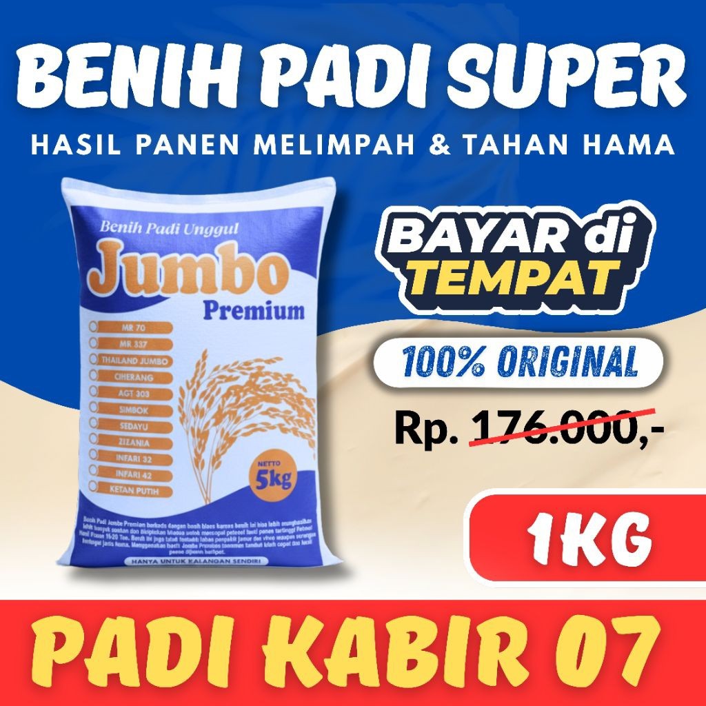 Benih padi kabir 07 kemasan 1kg original