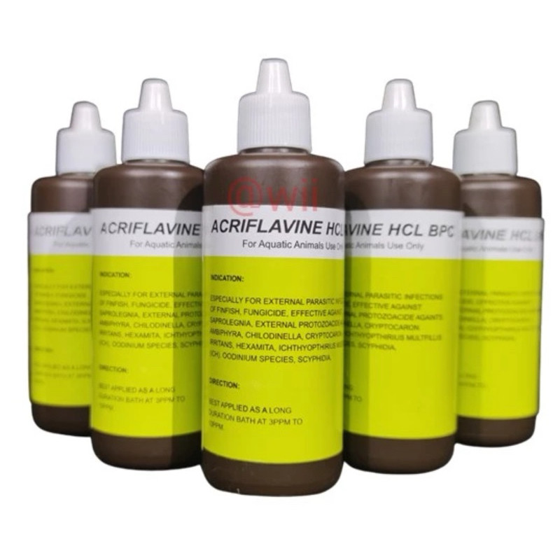 Acrivlafine Acriflavine HCL BPC 100ML - obat cair ikan hias cupang