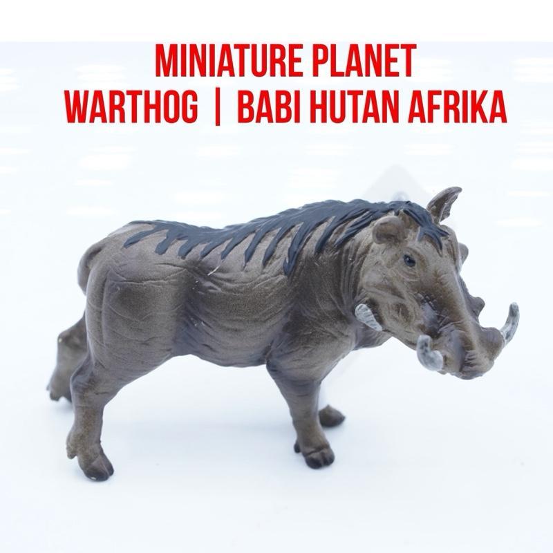 Miniature Planet | Warthog Babi Hutan Afrika Babi Gembol Phacochoerus | Small Size Ukuran Kecil | Ma