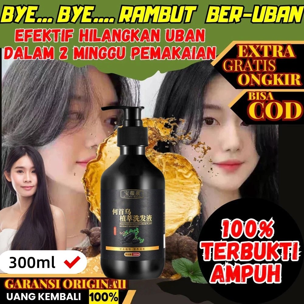 Shampo Penghilang Uban Permanen Penghitam Black Herbal Natural Polygonum Multiflorum Anti Ketombe An