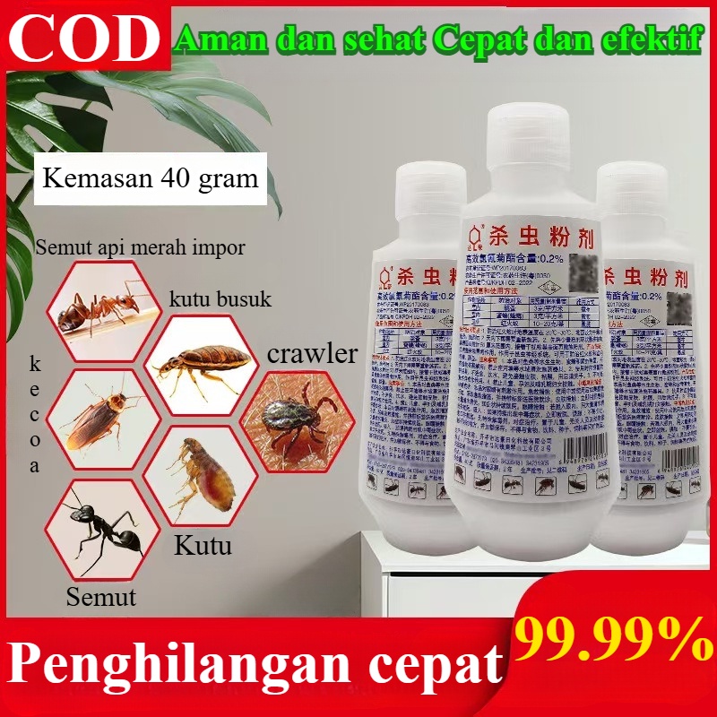 3 botol bubuk insektisida rayap Bubuk insektisida semut Pengendalian hama Bubuk rayap Umpan rayap